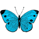 download Butterfly clipart image with 135 hue color