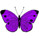 download Butterfly clipart image with 225 hue color