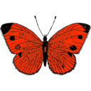 download Butterfly clipart image with 315 hue color