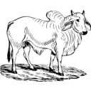 download Brahma Bull clipart image with 0 hue color