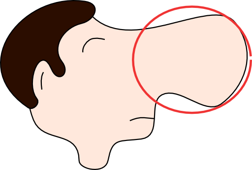 Nose