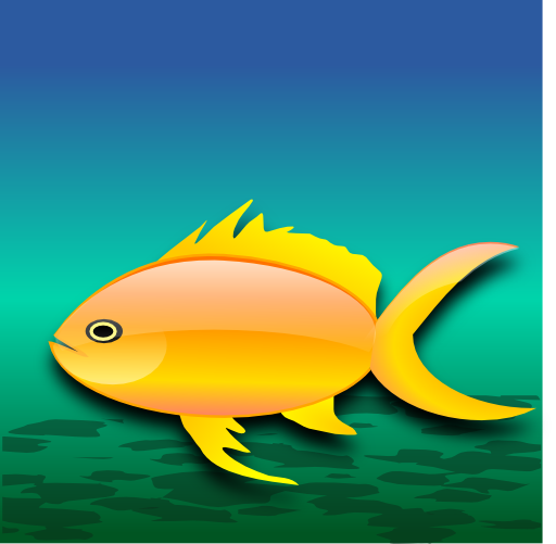 Pez Dorado Gold Fish