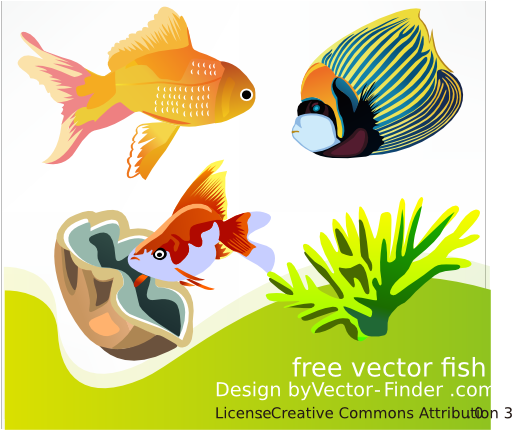 Free Vector Fish