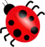 Ladybug