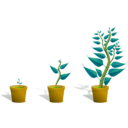 download Green Plant In Its Pot In Three Different Phases Of Growth clipart image with 45 hue color
