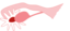 Ovary