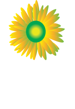 Sun Flower Icon