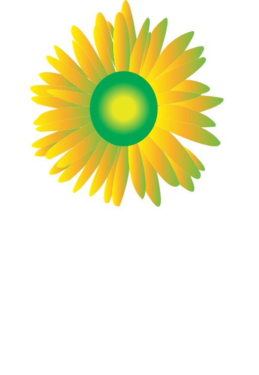 Sun Flower Icon