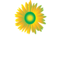 Sun Flower Icon