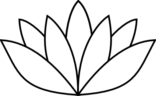 White Lotus Flower