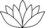White Lotus Flower