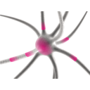 download Firing Neuron clipart image with 270 hue color