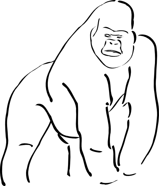 Gorilla