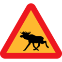 Warning Moose Roadsign