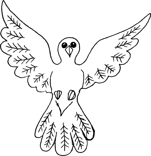 Dove Bird Outline Drawing