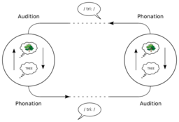 The Speech Circuit Acc To De Saussure