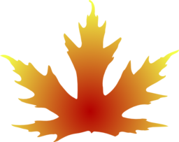 Maple Leaf