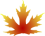 Maple Leaf