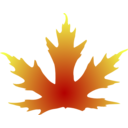 Maple Leaf