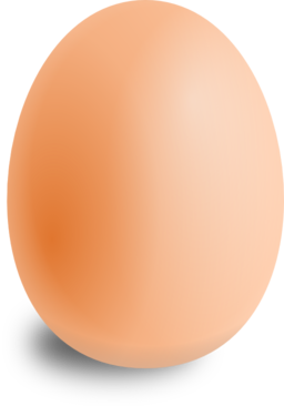 Egg