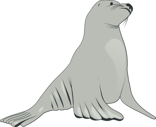 Sea Lion