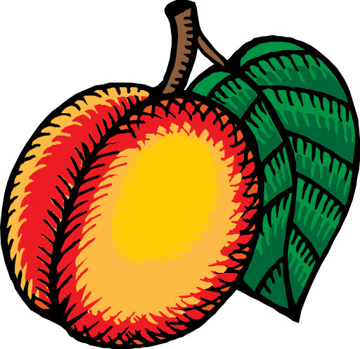 Nectarine