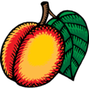 download Nectarine clipart image with 0 hue color