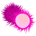 download Rambutan clipart image with 315 hue color