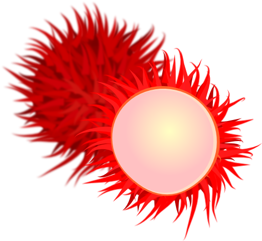 Rambutan