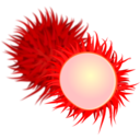 download Rambutan clipart image with 0 hue color