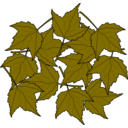 download Fall2010 15 clipart image with 315 hue color