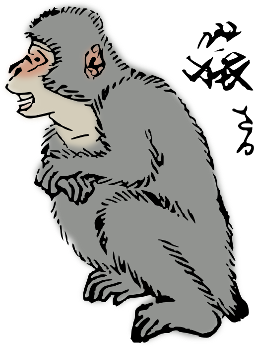 Japanese Macaque