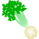 download Celery With Root clipart image with 0 hue color