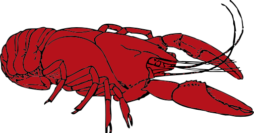 Crayfish