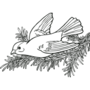 download Coloring Book Willow Goldfinch clipart image with 135 hue color