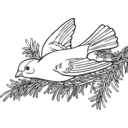 download Coloring Book Willow Goldfinch clipart image with 315 hue color