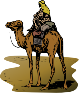 Camel With Rider