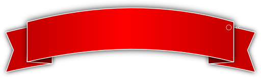 Cervejja