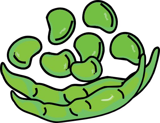 Fava Beans