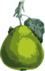 Pear