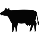 Cow Silhouette