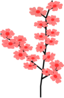 Flowers Sakura2