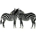 download Zebras clipart image with 45 hue color