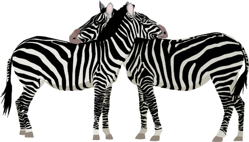 Zebras