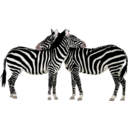 Zebras