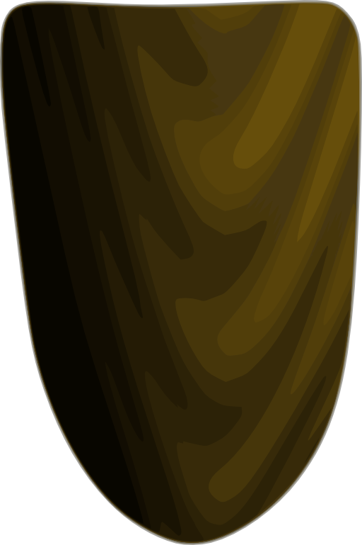 Wooden Shield