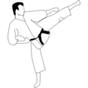 Karate Kick