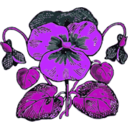 download Pansy clipart image with 225 hue color