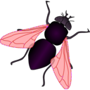 download Green House Fly clipart image with 180 hue color
