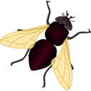 download Green House Fly clipart image with 225 hue color
